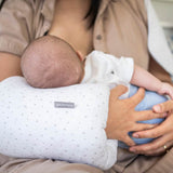 DreamFeed Nursing Cushion