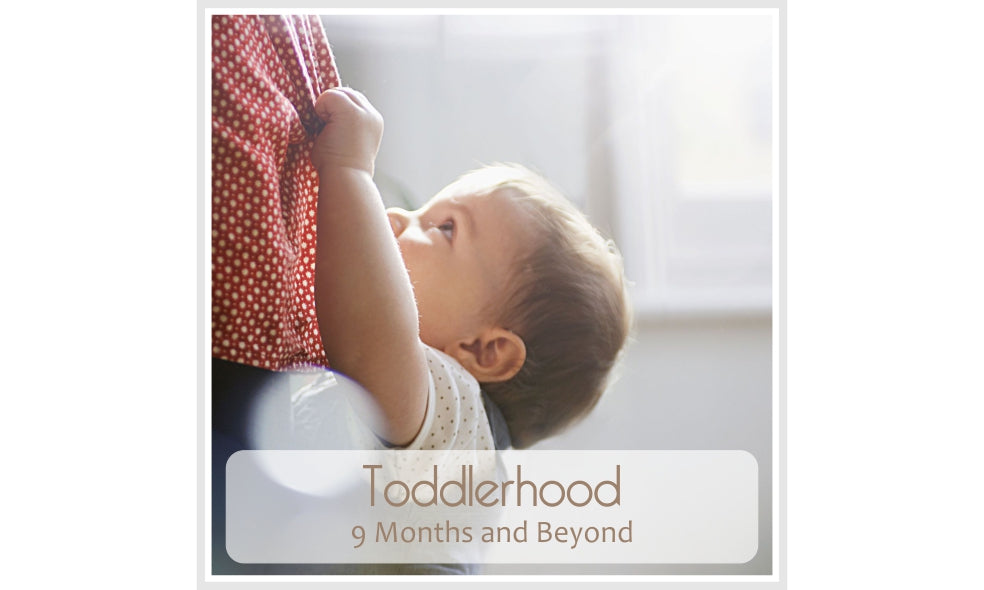 Shop Toddlerhood