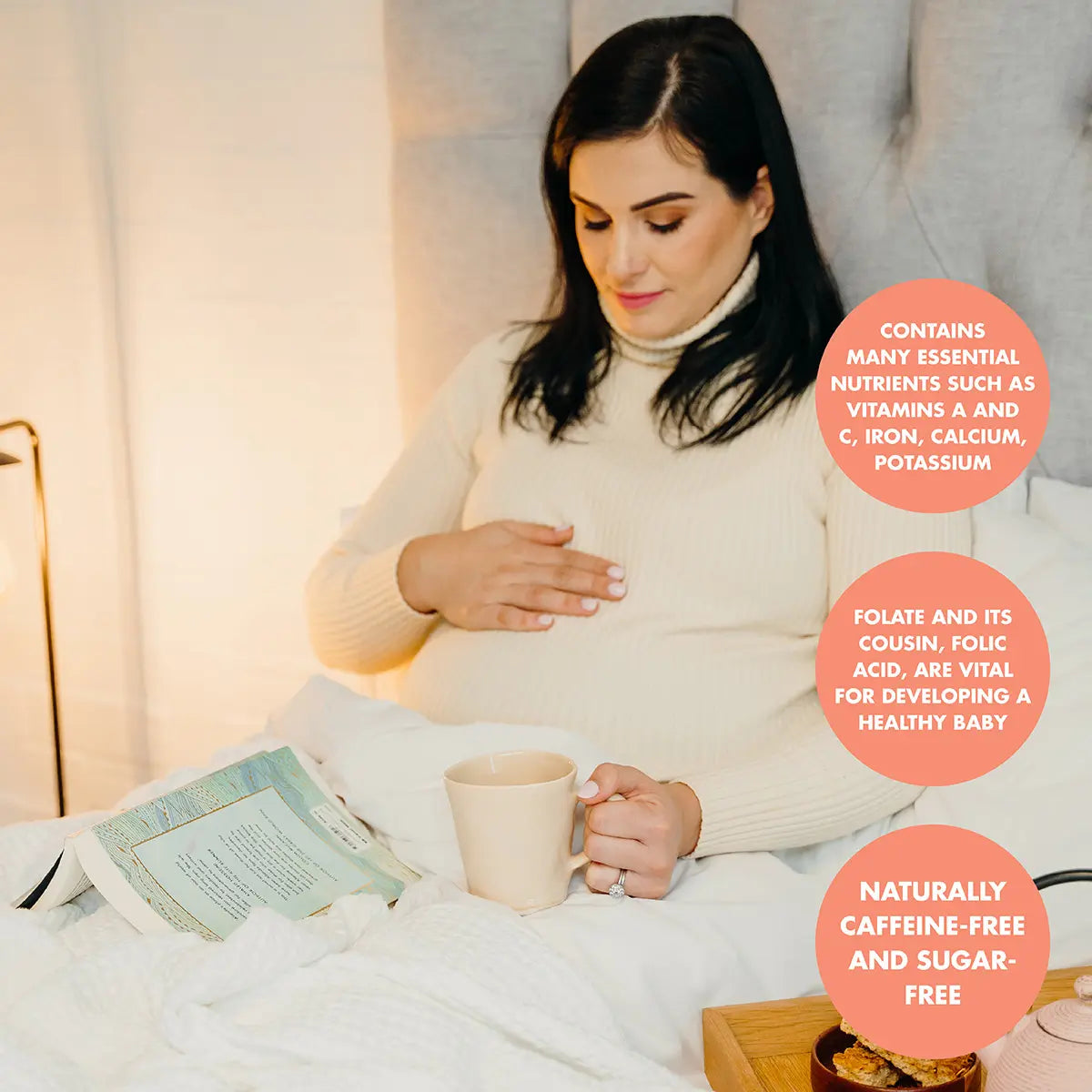 Carmién Mom-To-Be with Folic Acid (20 Teabags)