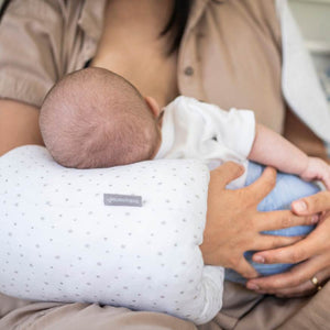 DreamFeed Nursing Cushion