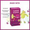 Kiddies Berry Boost (20 Teabags)