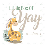 Snuggles, Smiles & Sensory Overload: 1-2 Months Support Box